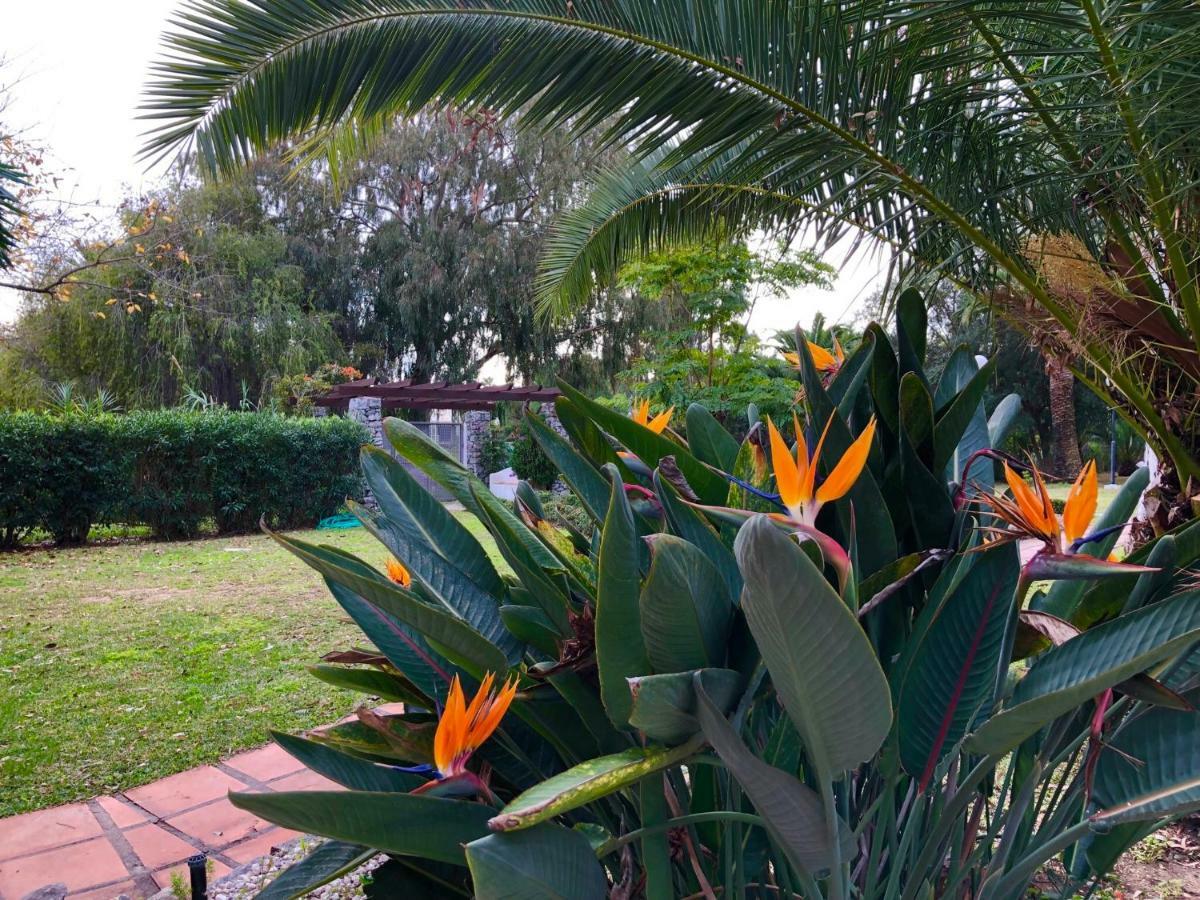 Puerto Banus Apartamento Flores ماربيا المظهر الخارجي الصورة